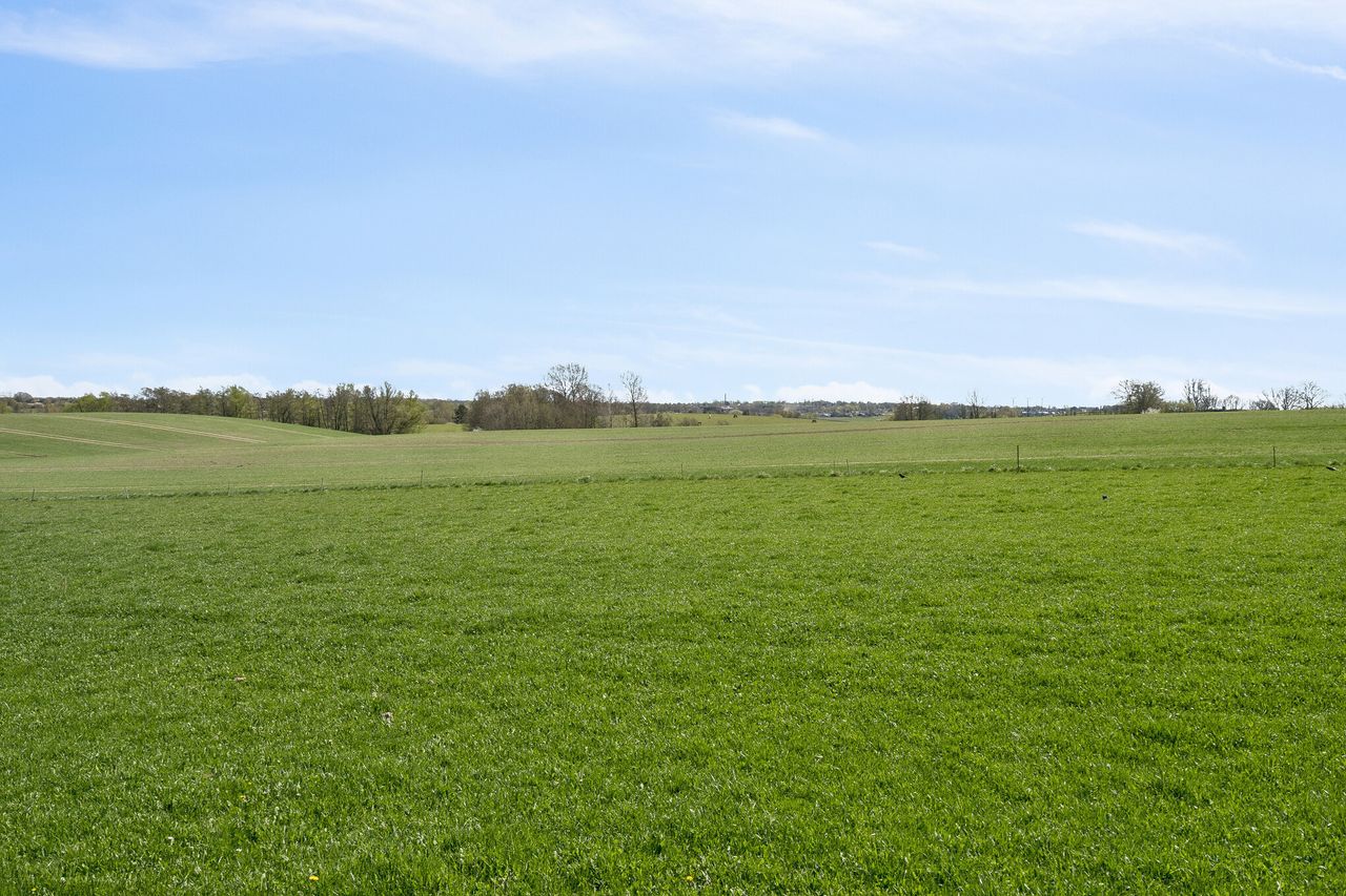 image 03