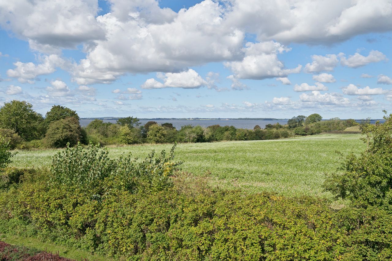image 01
